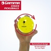 image:imageGAMMA Chuck Outdoor Pickleballs Symmetrical 38Hole Design USAPA Approved for Tournament Play Durable AllWeather Endurance Consistent Flight Enhanced Speed Competitive amp Practice6 Pack