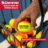 image:imageGAMMA Quick Kids Training Tennis Balls for Kids amp Beginners LowCompression Core Reduces Speed amp Bounce Great for Tennis Practice USTA amp ITF Approved for 10 amp Under Tournaments Parent12 Bag