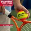 image:imageGAMMA Quick Kids Training Tennis Balls for Kids amp Beginners LowCompression Core Reduces Speed amp Bounce Great for Tennis Practice USTA amp ITF Approved for 10 amp Under Tournaments Parent12 Bag