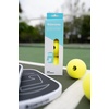 image:imageGamma Librarian Foam Quiet Pickleball Balls  LowNoise Practice Balls with True Bounce on Any Surface  Foam Pickleballs Available in 48 Box 3 Pack or 6 Pack3 Pack