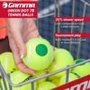 image:imageGamma Orange 60 and Green 78 Dot Training Tennis Balls for Kids amp Beginners LowCompression Core Reduces Speed amp Bounce Great for Tennis Practice USTA and ITF Approved for 10 amp Under TournamentGreen Dot 78