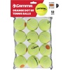 image:imageGamma Orange 60 and Green 78 Dot Training Tennis Balls for Kids amp Beginners LowCompression Core Reduces Speed amp Bounce Great for Tennis Practice USTA and ITF Approved for 10 amp Under TournamentOrange Dot 60