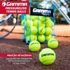 image:imageGamma Sports Pressureless Tennis Balls Box  Ideal for Practice Teaching and Training with HighVisbility Felt  Indoor and Outdoor Court Play  48 and 75 Pack Sizes18