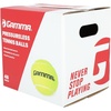 image:imageGamma Sports Pressureless Tennis Balls Box  Ideal for Practice Teaching and Training with HighVisbility Felt  Indoor and Outdoor Court Play  48 and 75 Pack SizesBox of 48