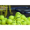 image:imageGamma Sports Pressureless Tennis Balls Box  Ideal for Practice Teaching and Training with HighVisbility Felt  Indoor and Outdoor Court Play  48 and 75 Pack SizesNew Bag of 12