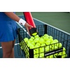 image:imageGamma Sports Pressureless Tennis Balls Box  Ideal for Practice Teaching and Training with HighVisbility Felt  Indoor and Outdoor Court Play  48 and 75 Pack SizesNew Bag of 20