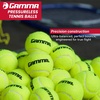 image:imageGamma Sports Pressureless Tennis Balls Box  Ideal for Practice Teaching and Training with HighVisbility Felt  Indoor and Outdoor Court Play  48 and 75 Pack SizesBox of 75