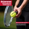 image:imageGamma Sports Pressureless Tennis Balls Box  Ideal for Practice Teaching and Training with HighVisbility Felt  Indoor and Outdoor Court Play  48 and 75 Pack Sizes18