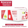 image:imageGamma Sports Pressureless Tennis Balls Box  Ideal for Practice Teaching and Training with HighVisbility Felt  Indoor and Outdoor Court Play  48 and 75 Pack SizesBox of 75
