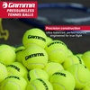 image:imageGamma Sports Pressureless Tennis Balls Box  Ideal for Practice Teaching and Training with HighVisbility Felt  Indoor and Outdoor Court Play  48 and 75 Pack Sizes18