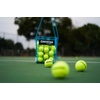 image:imageGamma Sports Pressureless Tennis Balls Box  Ideal for Practice Teaching and Training with HighVisbility Felt  Indoor and Outdoor Court Play  48 and 75 Pack SizesBox of 48