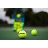 image:imageGamma Sports Pressureless Tennis Balls Box  Ideal for Practice Teaching and Training with HighVisbility Felt  Indoor and Outdoor Court Play  48 and 75 Pack SizesNew Bag of 12