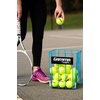 image:imageGamma Sports Tennis BallHopper Pro 90 Brute 325 Risette amp Hoppette 50 Hi Rise 75 Hoppers amp Carts Easy Pick Up Carrying amp Storage Durable Pickleball Padel75