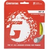 image:imageGAMMATnt2 16 Reel 360Yellow