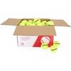 image:imageGamma Sports Pressureless Tennis Balls Box  Ideal for Practice Teaching and Training with HighVisbility Felt  Indoor and Outdoor Court Play  48 and 75 Pack SizesBox of 75