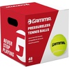 image:imageGamma Sports Pressureless Tennis Balls Box  Ideal for Practice Teaching and Training with HighVisbility Felt  Indoor and Outdoor Court Play  48 and 75 Pack SizesBox of 48